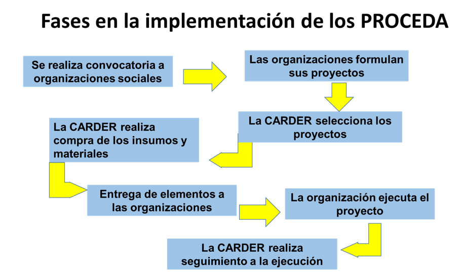 fases de implementación de un PROCEDA