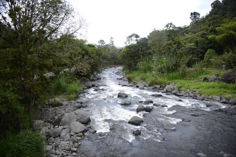 Río Otún - Foto CARDER