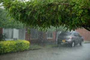 Temporada de Lluvias