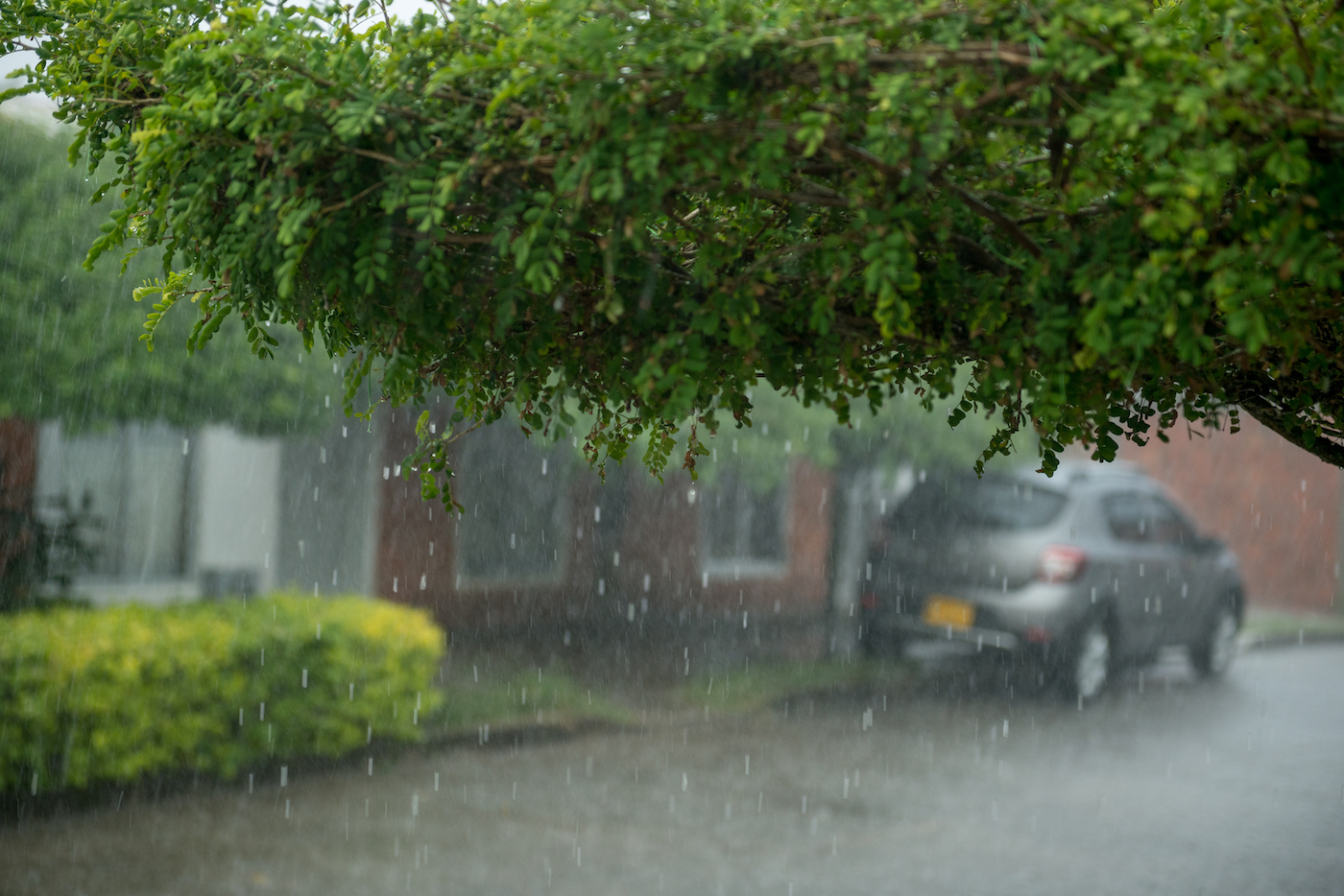 Temporada de Lluvias