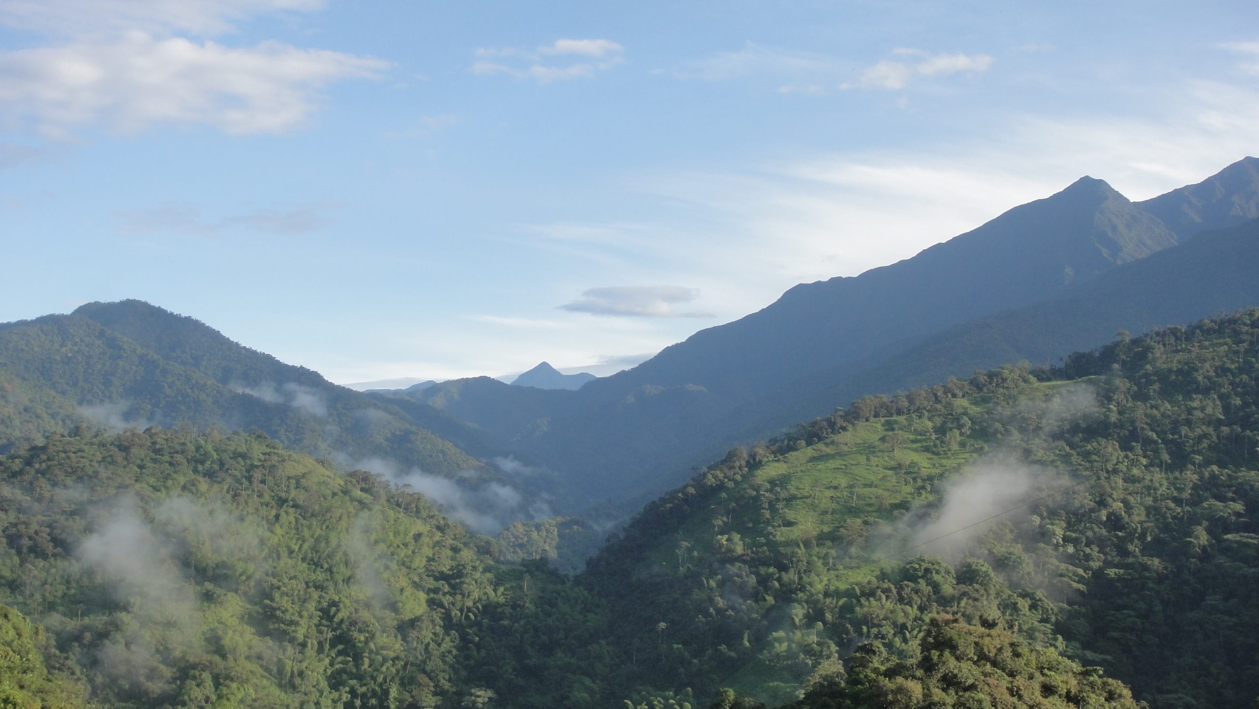 Risaralda cuenta con cobertura vegetal en cerca de un 50 por ciento de todo su territorio