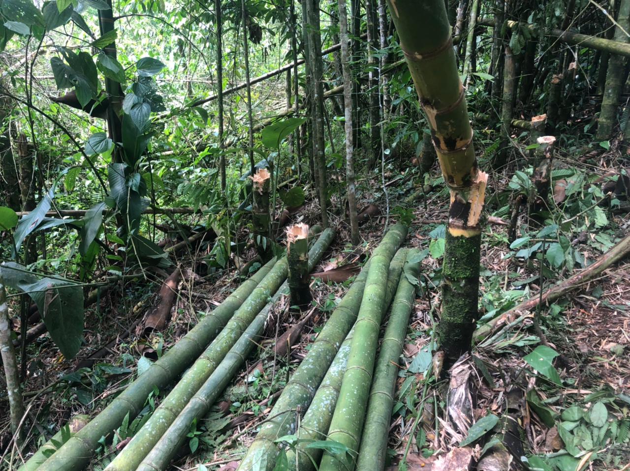 La Patrulla Ambiental de la CARDER impidió la invasión de un predio de la Sociedad de Mejoras