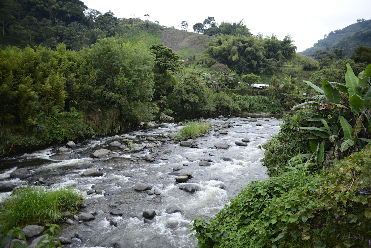 La CARDER hace control y vigilancia a las plantas de beneficio animal en Risaralda