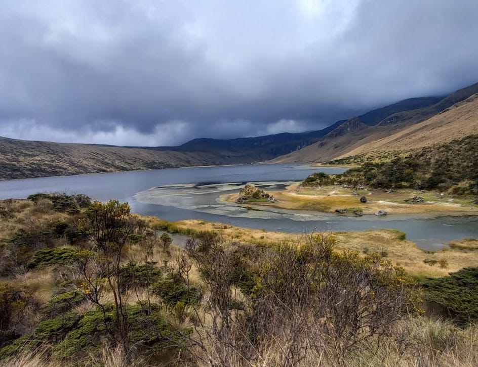 La CARDER contribuye al Plan de Acción para la preservación del PNN Los Nevados