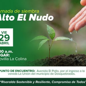 Jornada de Siembra Alto del Nudo