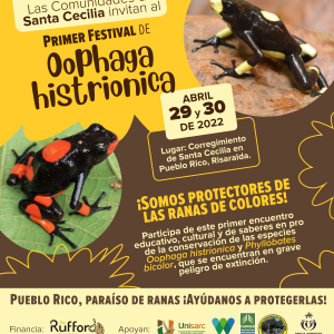 Primer Festival de Oophaga histriónica
