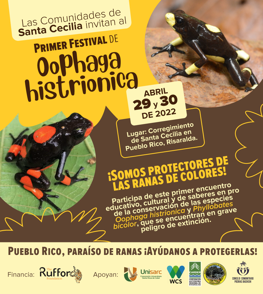 Primer Festival de Oophaga histriónica