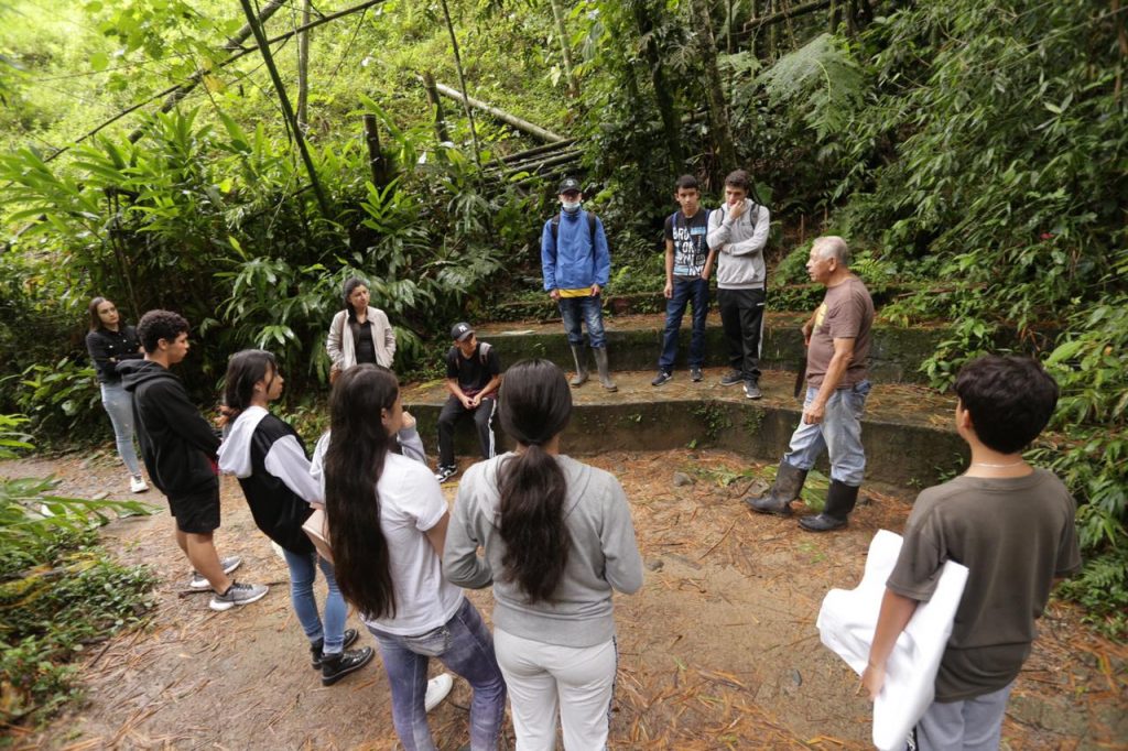 La CARDER destaca la labor que realiza un Hogar de Paso para abejas en Pereira