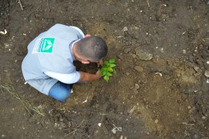 La CARDER y Publik lideran campaña “Mi árbol, mi mascota verde”