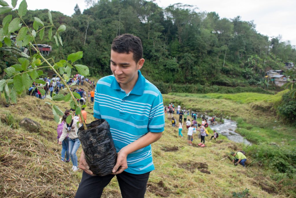 De manera gratuita, los risaraldenses podrán sembrar árboles en sus predios