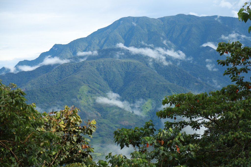 Comunidades aprenden más sobre la biodiversidad en el área de expansión de la Cuchilla del San Juan
