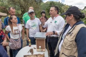 Cuidado y protección de abejas, una de las prioridades de la CARDER