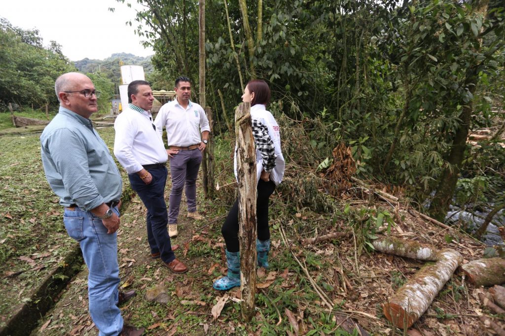 CARDER atendió denuncia de tala de árboles y evidenció que no era ilegal