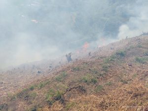 La CARDER evita propagación de un incendio descontrolado en Apía
