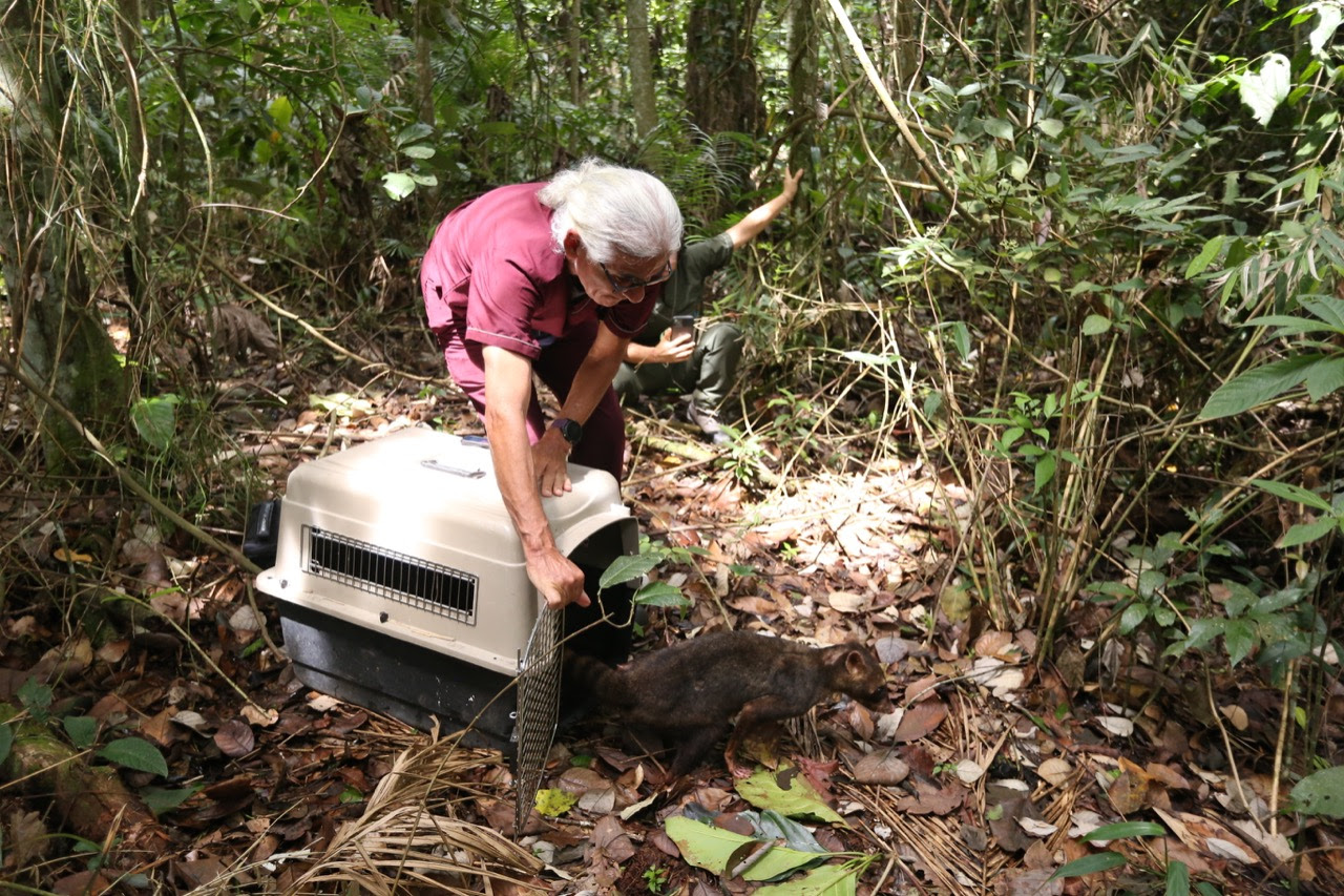La CARDER ha retornado a su hábitat natural a 192 animales de fauna silvestre este año