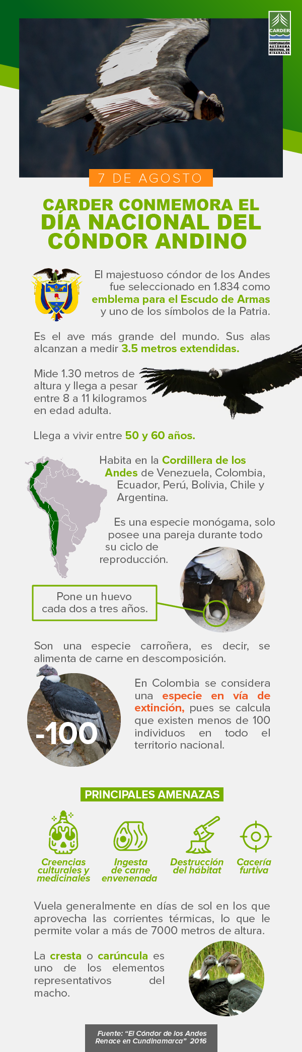 Día Nacional del Condor Andino