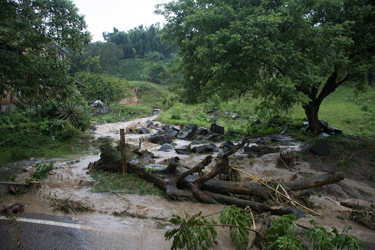 Fotografía de un río desbordado, arrastrando material vegetal a causa de intesas lluvias.