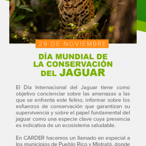 Día Mundial de la Conservación del Jaguar