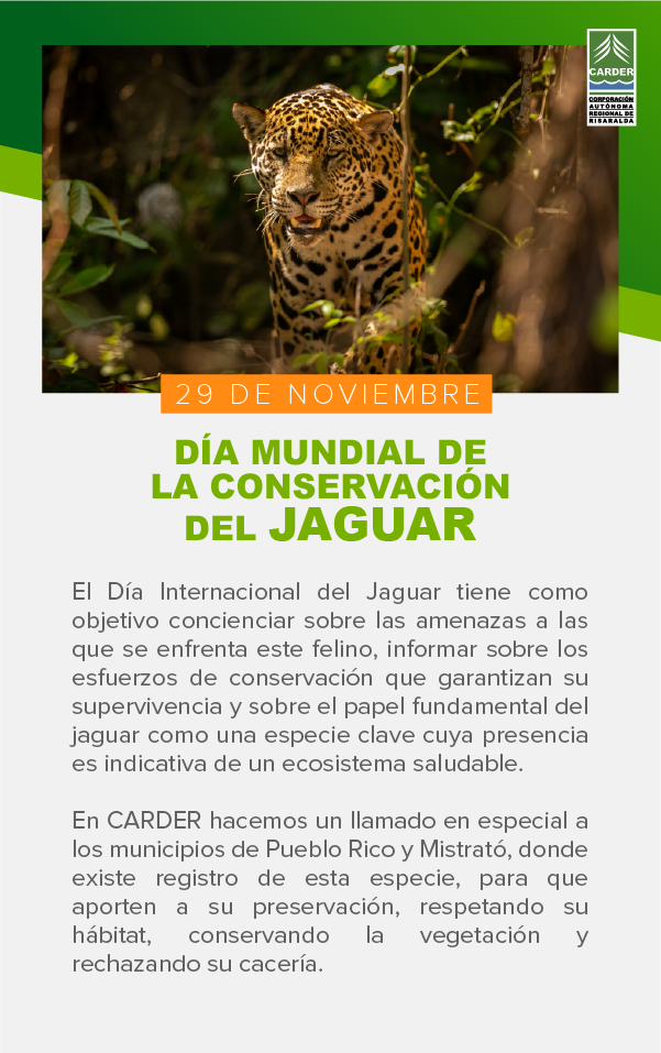 Día Mundial de la Conservación del Jaguar