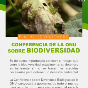 Conferencia de la ONU sobre Biodiversidad