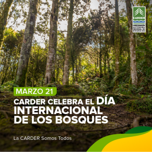 Día Internacional de los Bosques.