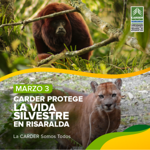 Día Mundial de la Vida Silvestre