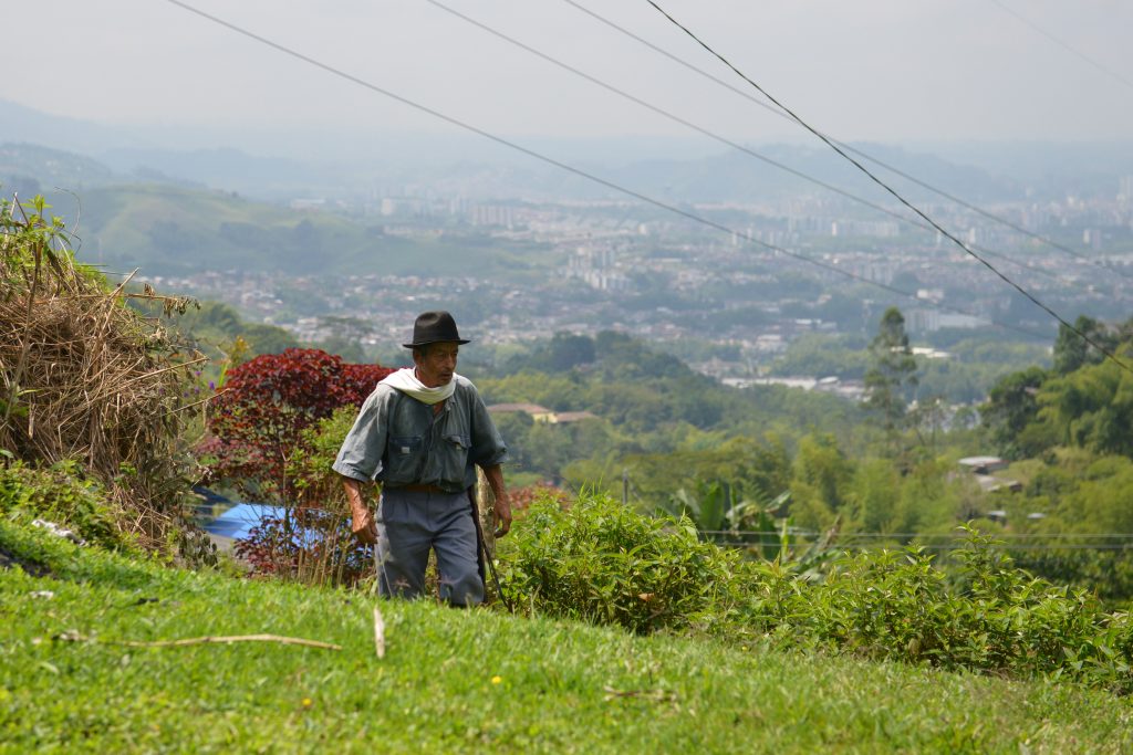 La CARDER reconoce la invaluable labor del campesino en Risaralda