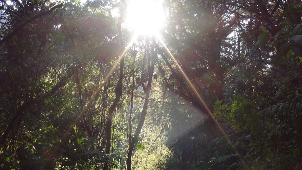 La CARDER se prepara ante la llegada del Fenómeno del Niño y sus efectos en Risaralda