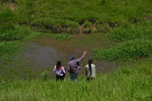 Los humedales son tesoros naturales que en Risaralda tenemos el deber de cuidar