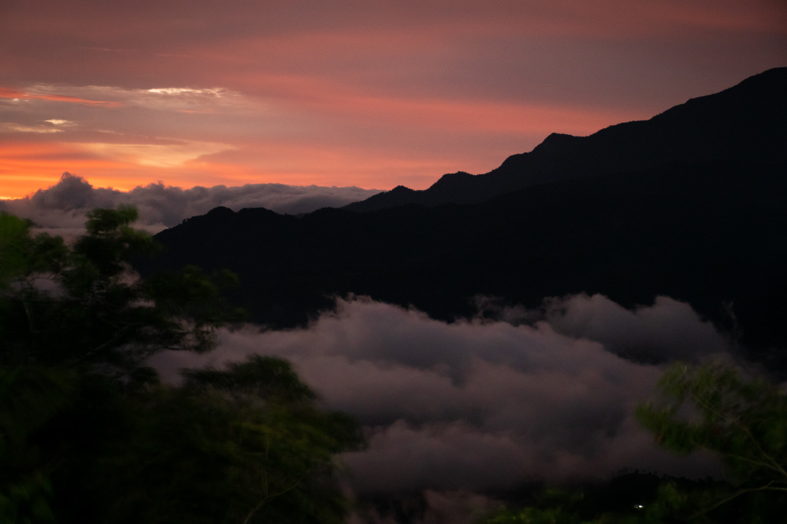 Risaralda extiende a 29.652 hectáreas el área protegida de la Cuchilla del San Juan