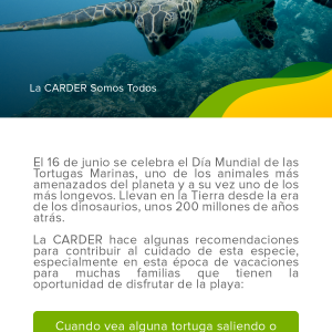 Día Mundial de las Tortugas Marinas