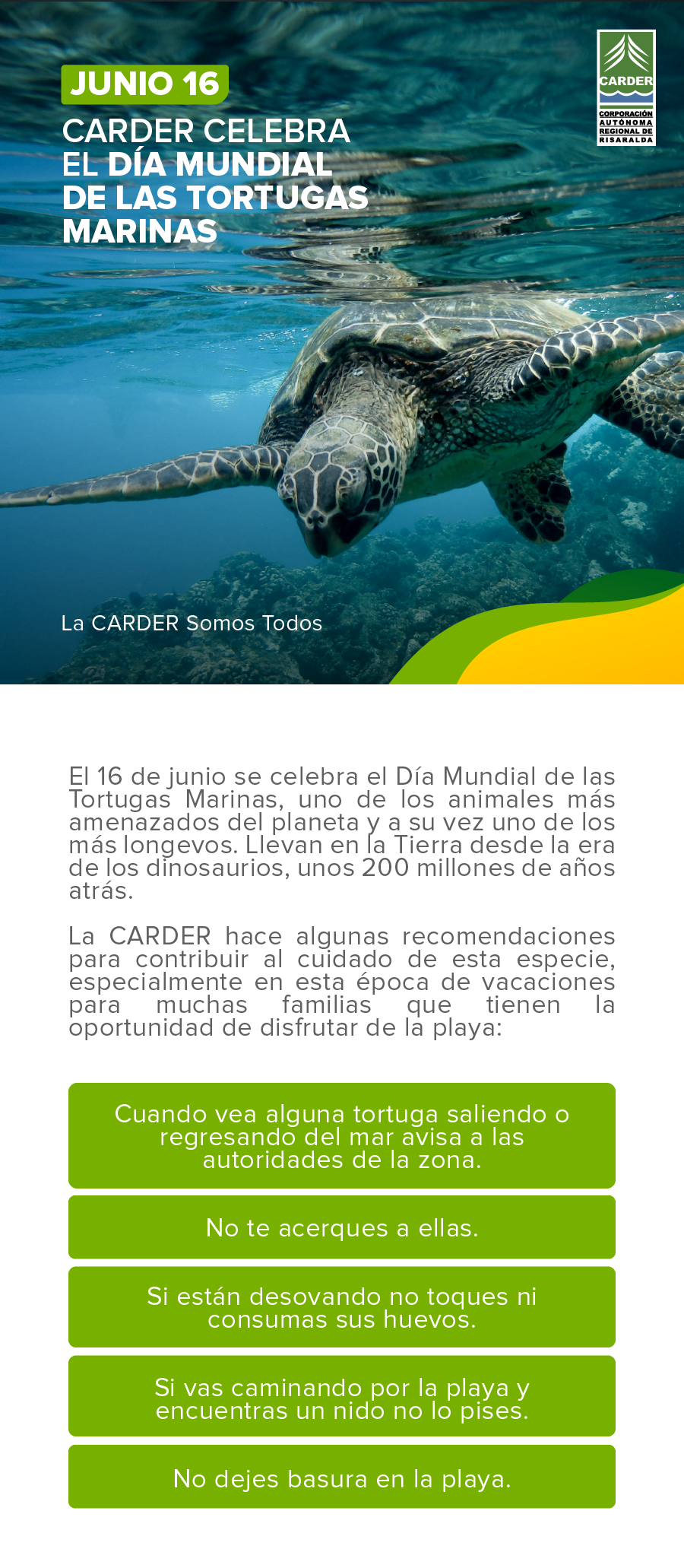Día Mundial de las Tortugas Marinas