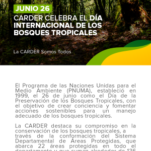 Día Internacional de los Bosques Tropicales.