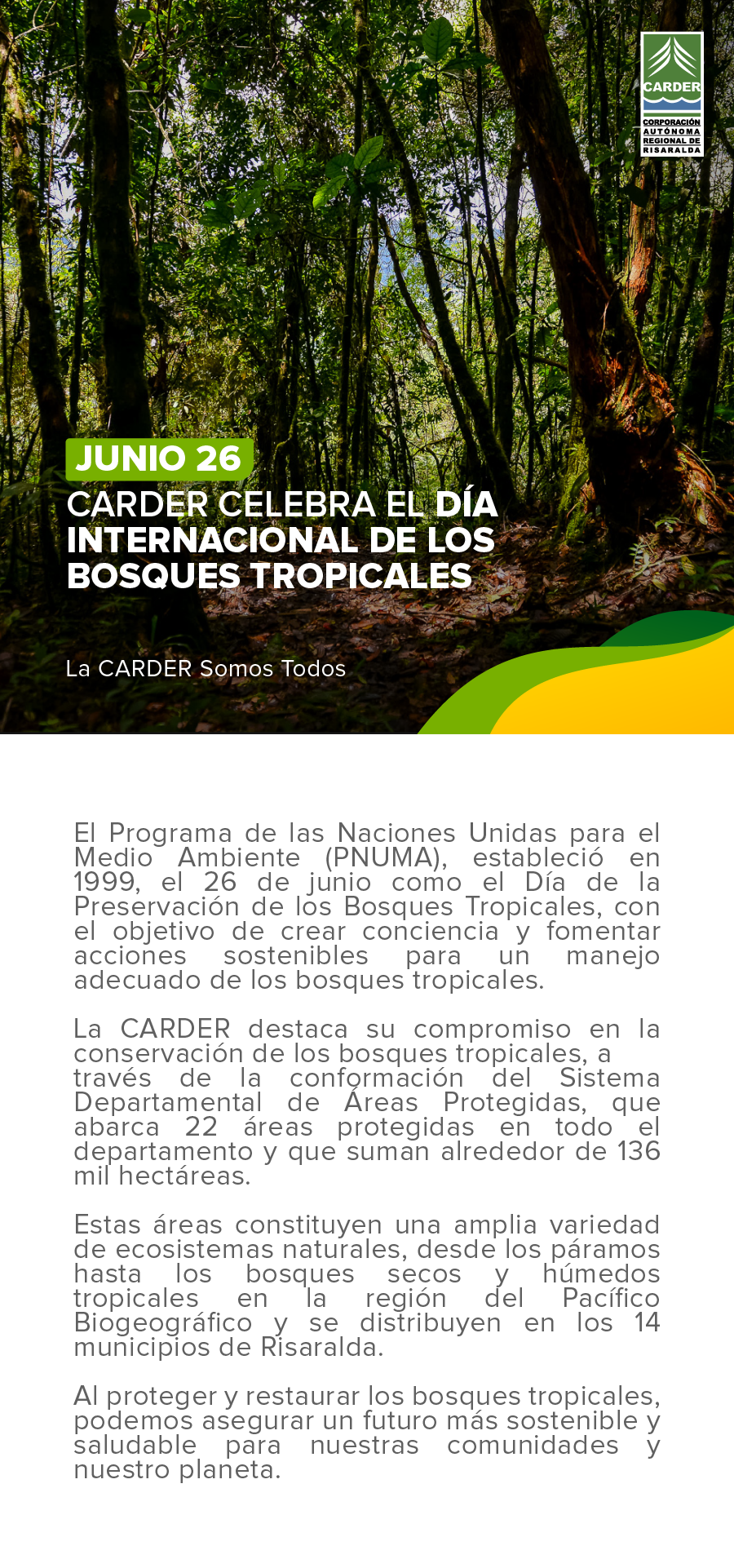Día Internacional de los Bosques Tropicales.