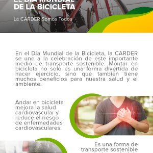 3 Día Mundial de la Bicicleta