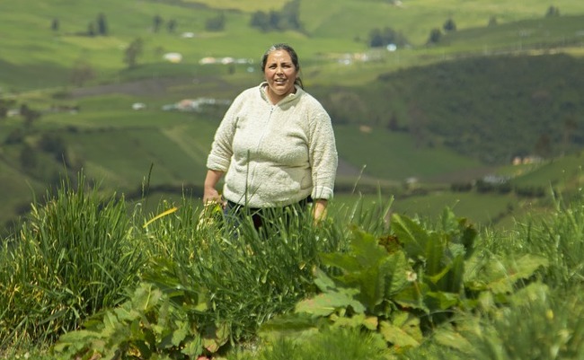 CARDER reconoce el rol fundamental de las mujeres rurales en la conservación ambiental
