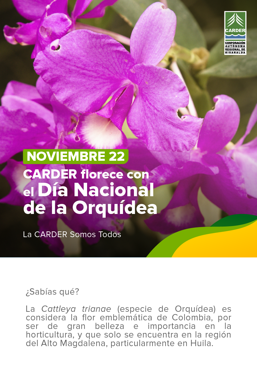 Día Nacional de la Orquídea.