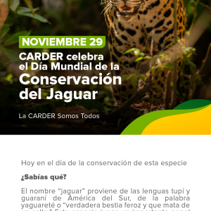 Día Mundial de la Conservación del Jaguar