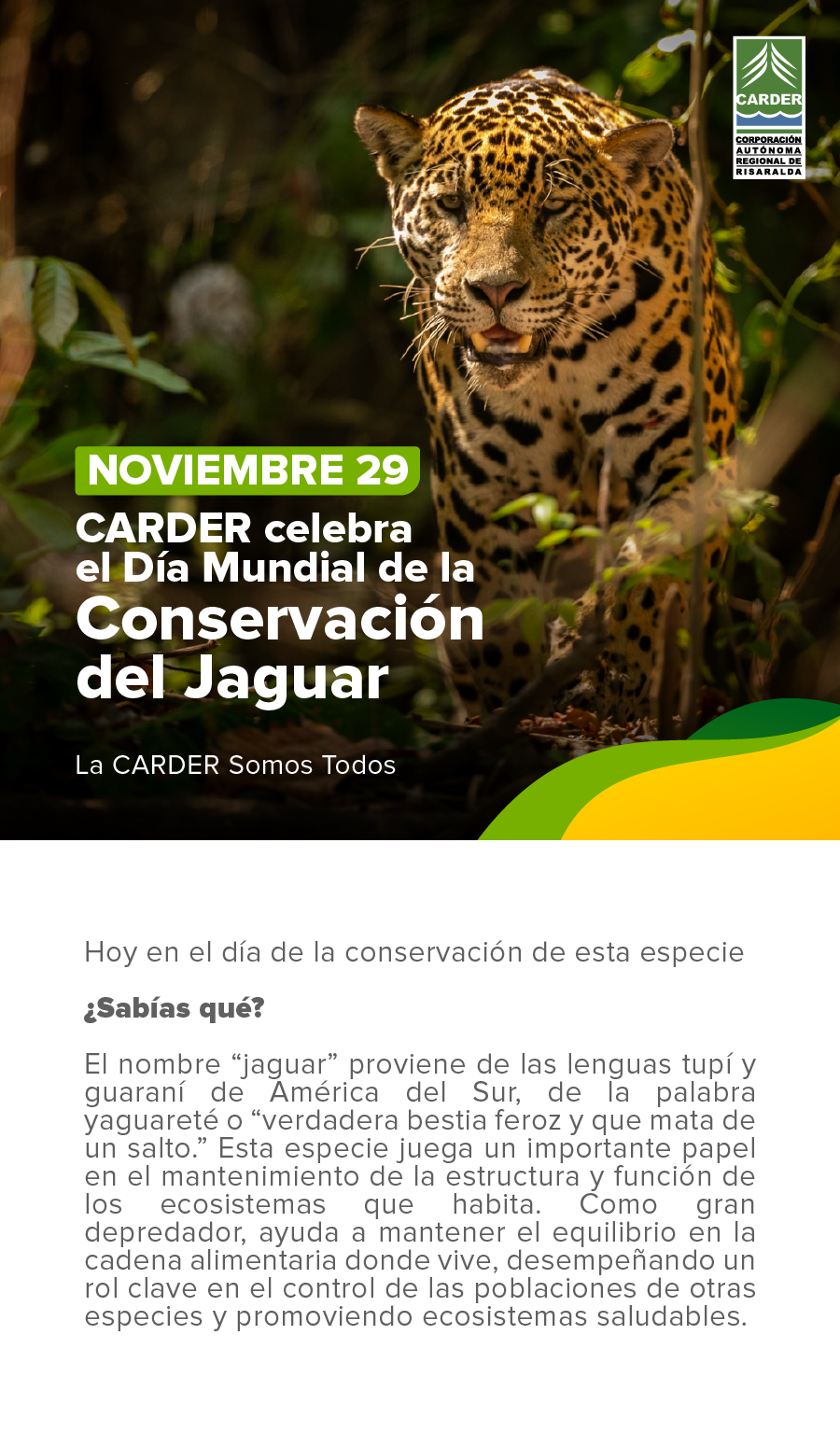 Día Mundial de la Conservación del Jaguar
