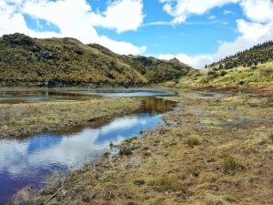 La CARDER invita a reflexionar a los ciudadanos sobre la preservación de los Parques Naturales