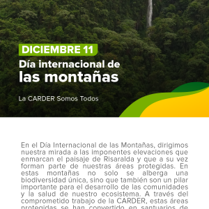 Día internacional de las montañas