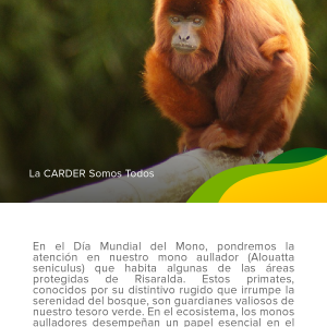 Día mundial del mono