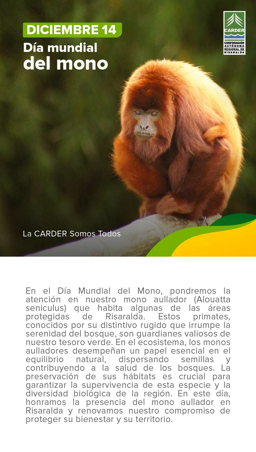 Día mundial del mono