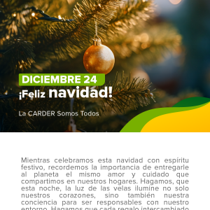 Feliz navidad