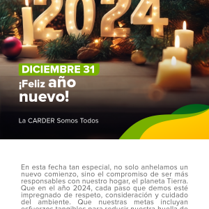 Año nuevo
