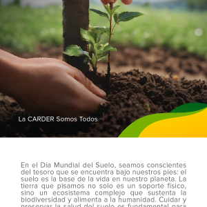 Día Mundial del Suelo