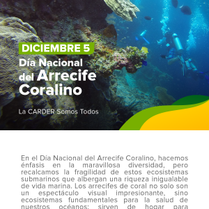 Día Nacional del Arrecife Coralino