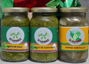 El modelo de negocio se centra en la producción de hortalizas en un sistema acuapónico (Albahaca, Kale y pepino cohombro), para la transformación y comercialización de Salsa Pesto de Albahaca, Salsa Pesto de Kale y Pepinos agridulces respectivamente.