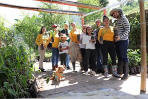 Macondos es una finca donde venimos desarrollando 3 grandes proyectos todos ellos enfocados en la sostenibilidad, conservación y compartir este planeta de una manera diferente. Estos son: * La reforestación y conservación. * Tenemos 420 palos de aguacate papelillo, alrededor de una hectárea en plátano y unos lotes de café. * Hospedaje ecológico.