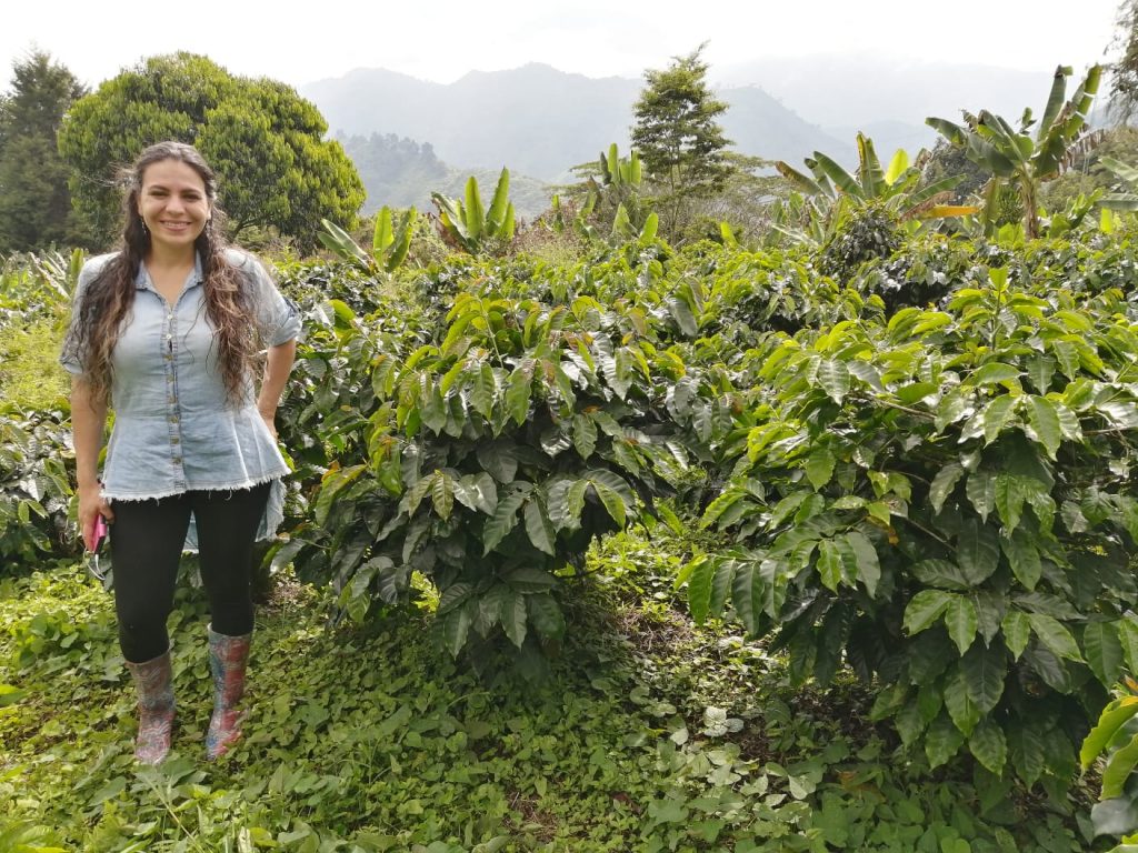Somos una empresa familiar dedicada a la siembra y comercialización de café con valor agregado, entregando al consumidor un producto de alta calidad y listo para el consumo. Ofrecemos café especial, implementando prácticas de producción limpia, no usamos agroquímicos ni en el cultivo ni en la tranformación. Los insumos que usamos son de alta calidad garantizando siempre la inocuidad del producto final lo cual es nuestro propósito.